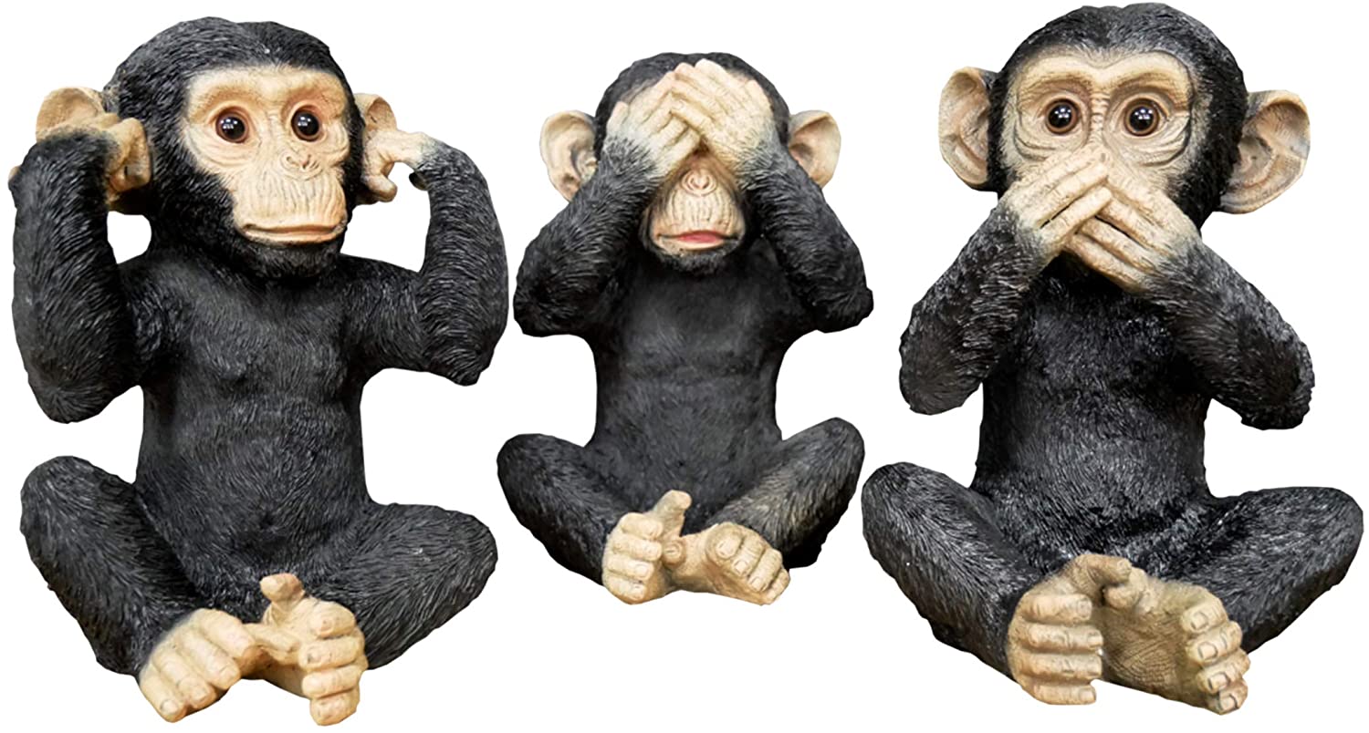 71eE9yxxVxL._AC_SL1500_