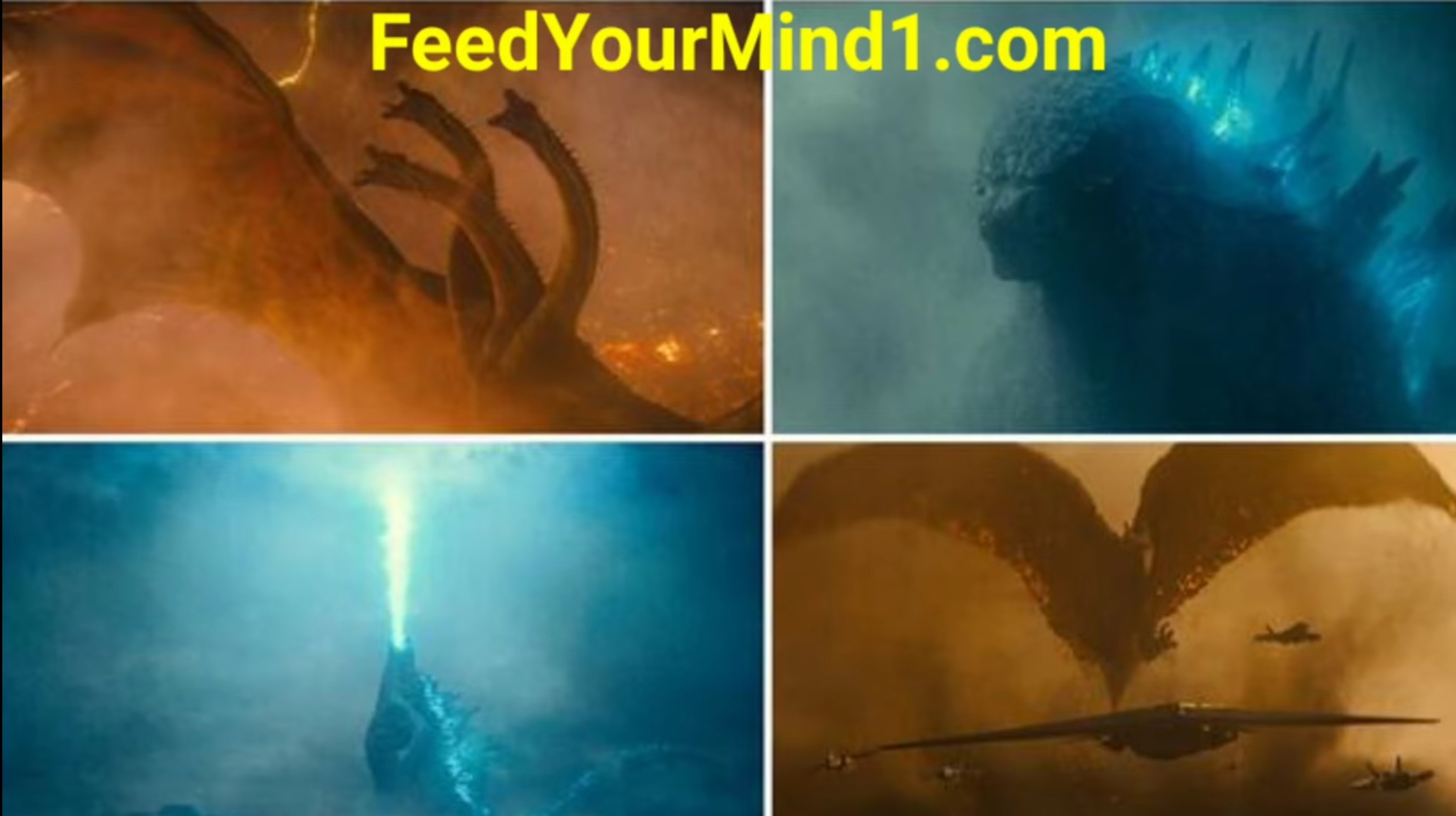 Screenshot_20220128-135659_YouTube