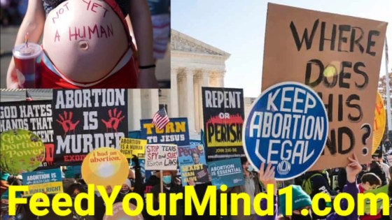 Screenshot_20220627-114702_Video Player