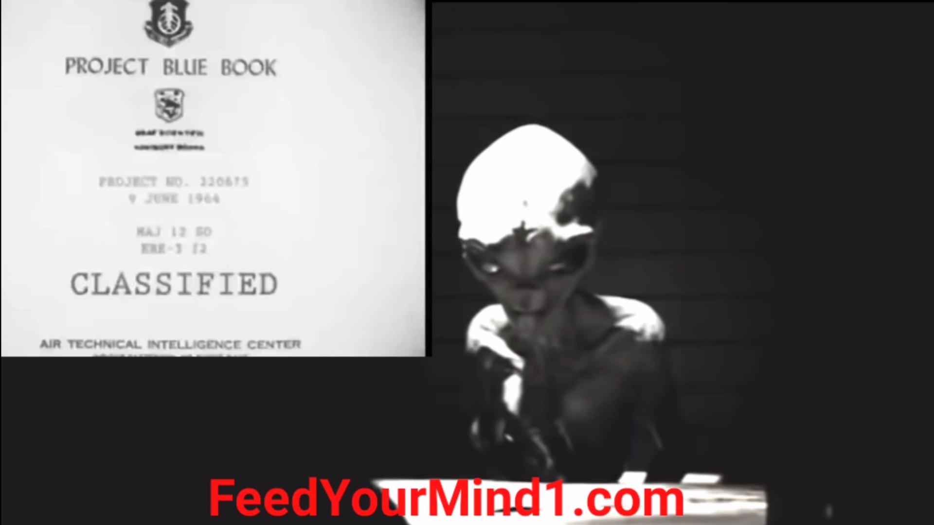 Screenshot_20220627-122153_Gallery