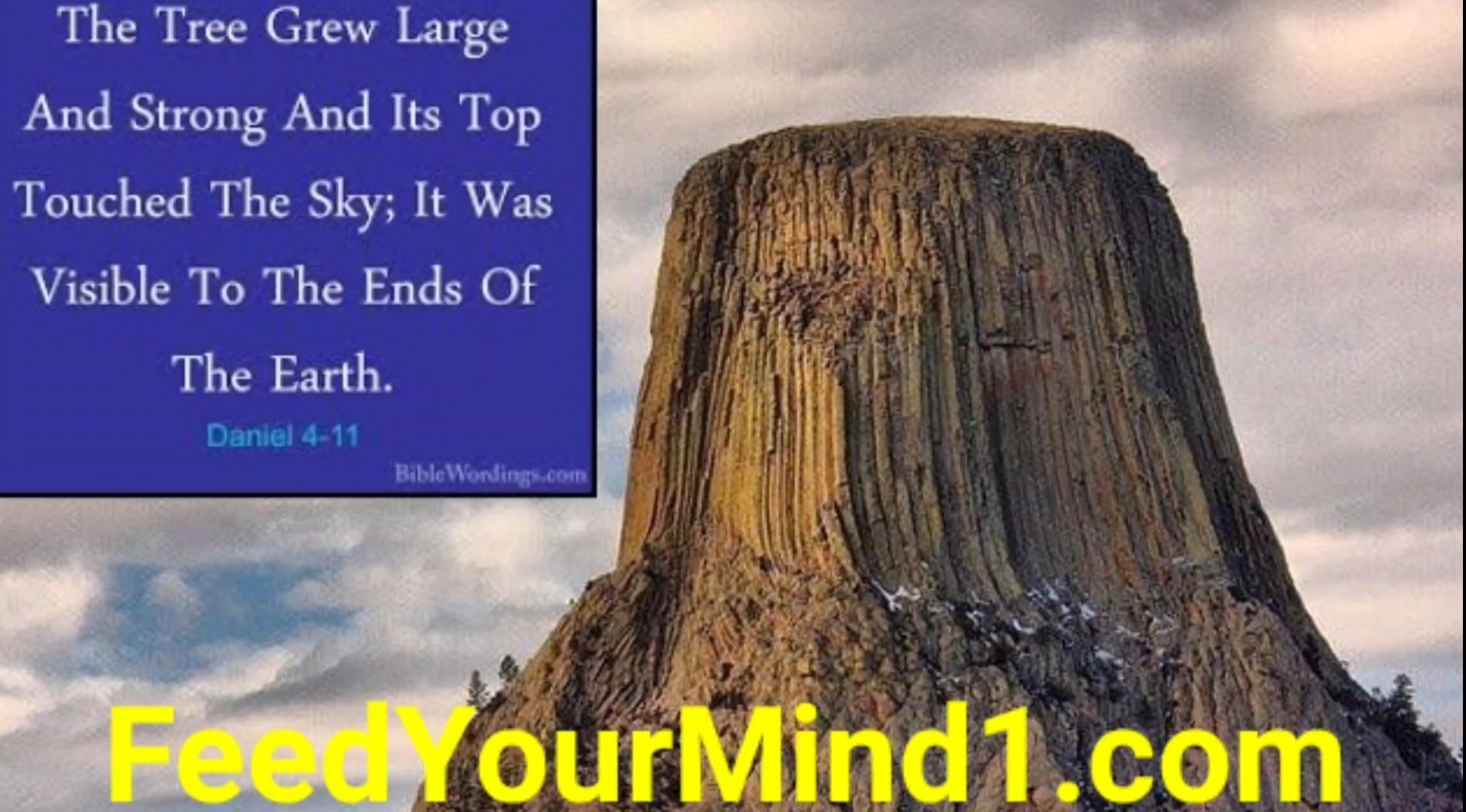 Screenshot_20220629-123822_Video Player