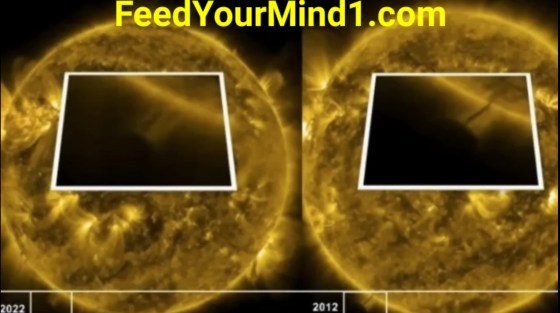 Screenshot_20220714-113457_Gallery