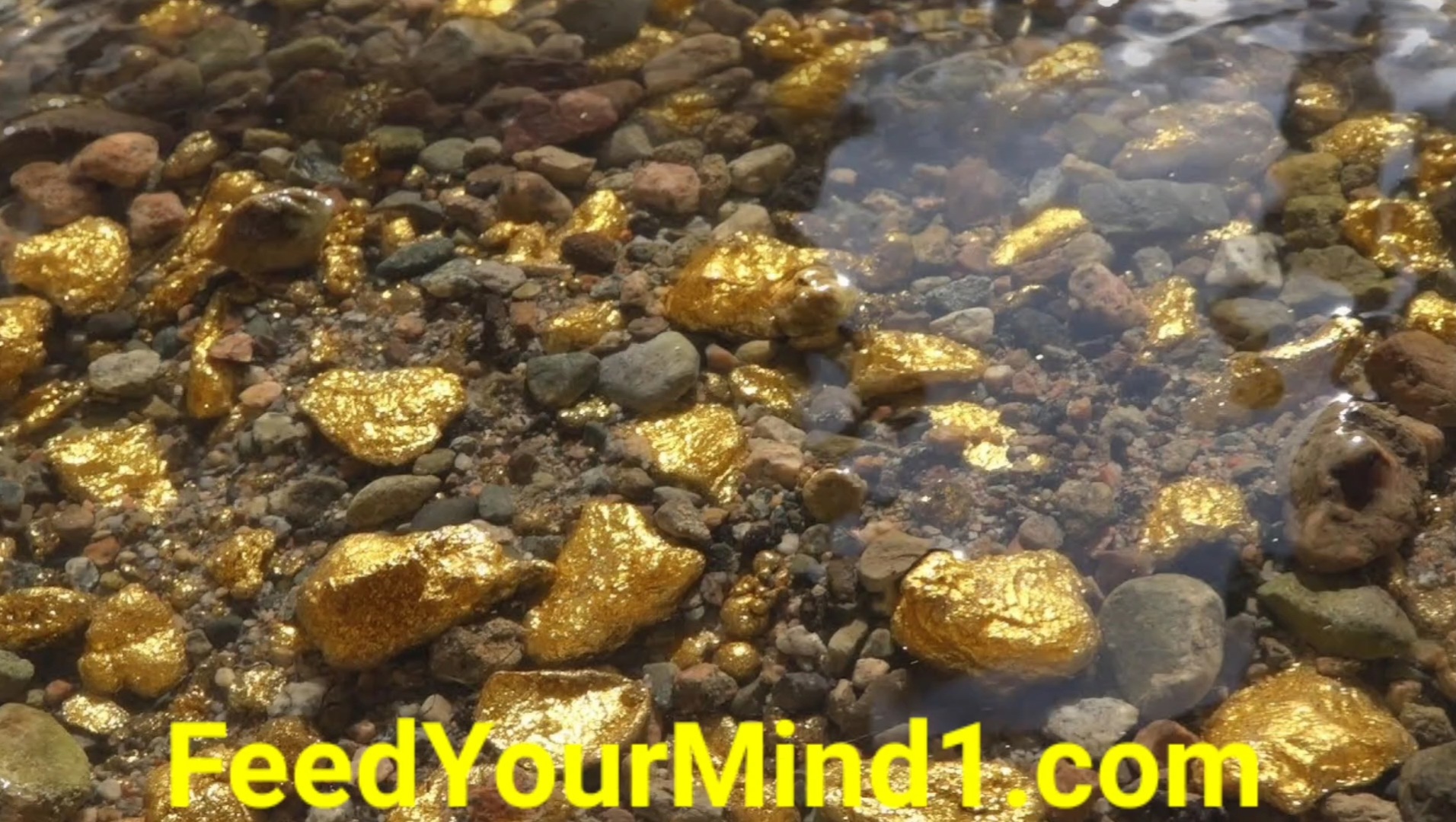 Screenshot_20220726-121123_Video Player