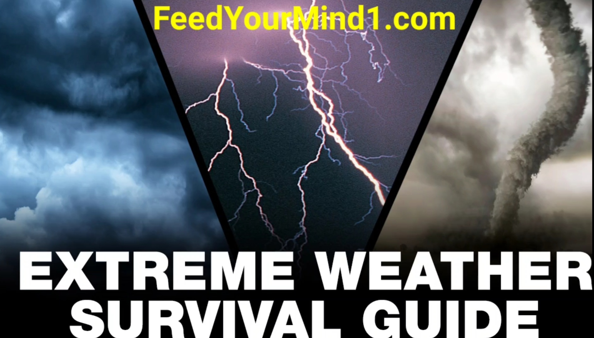 Screenshot_20220727-141720_Gallery