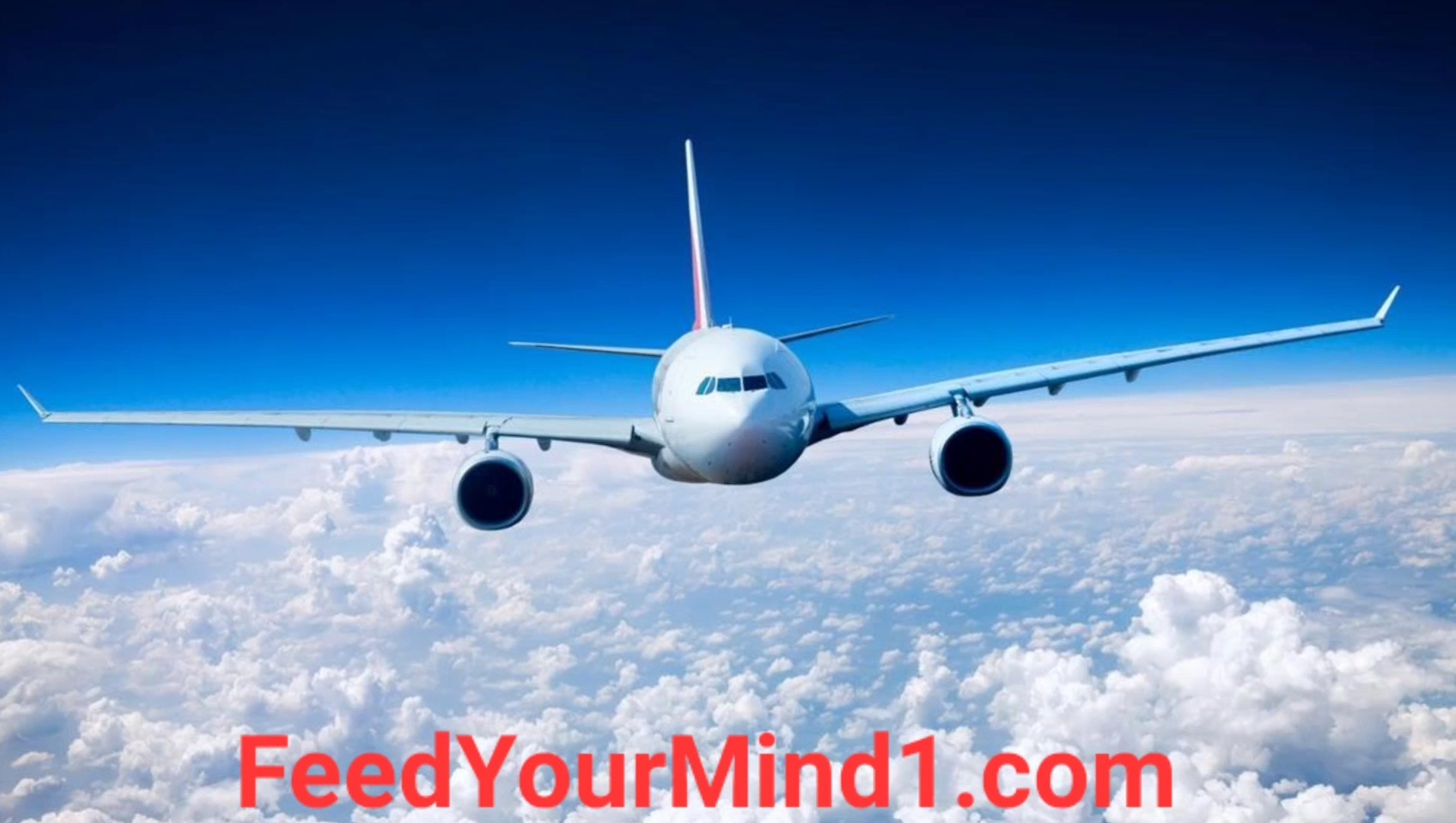 Screenshot_20220909-120629_Gallery