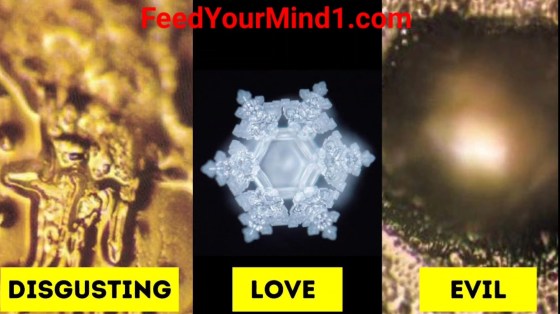 Screenshot_20220930-111642_Gallery