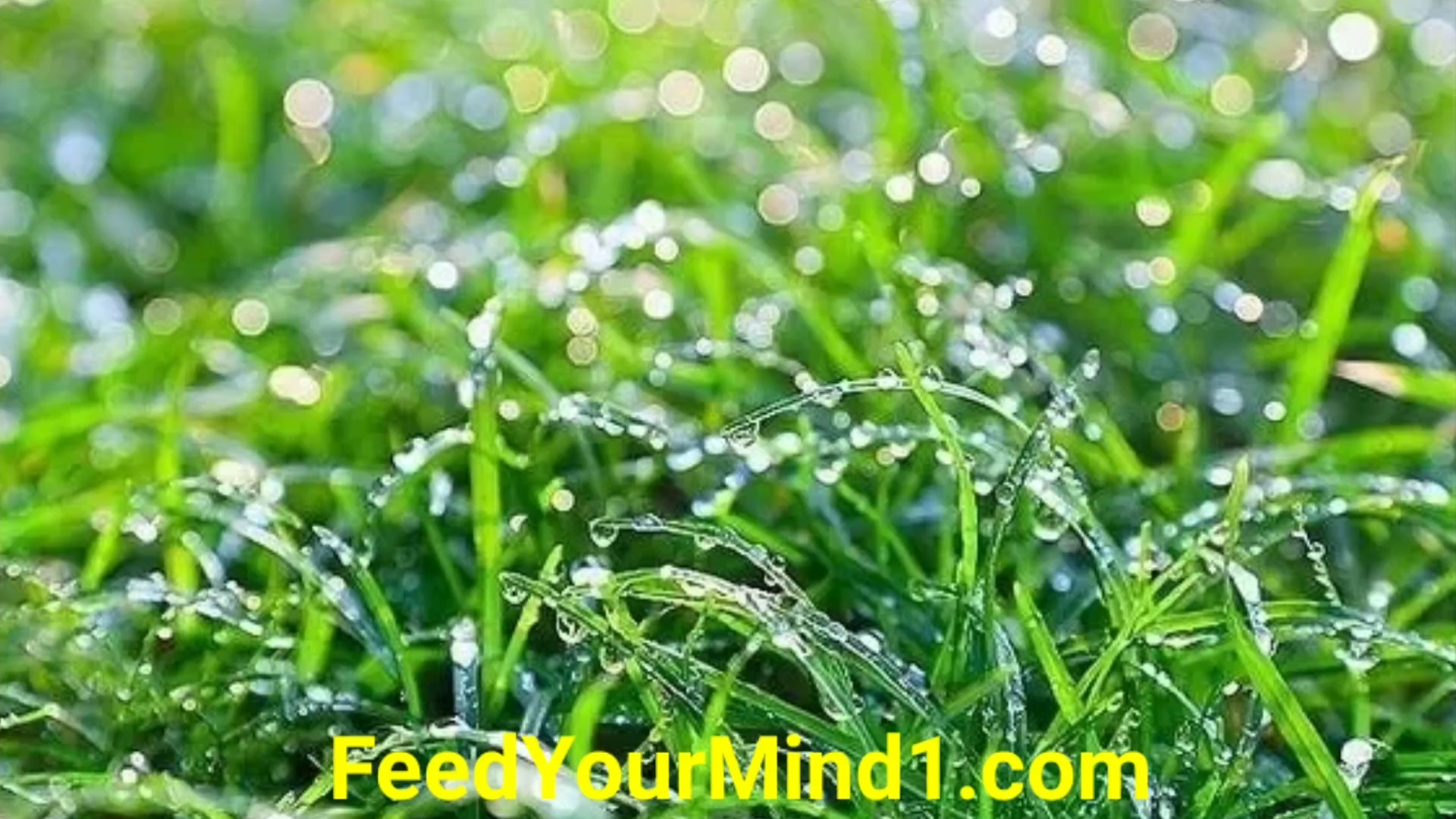 Screenshot_20221025-115003_Video Player