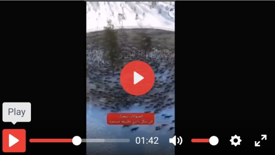 Screenshot_20221206_111343_Samsung Internet