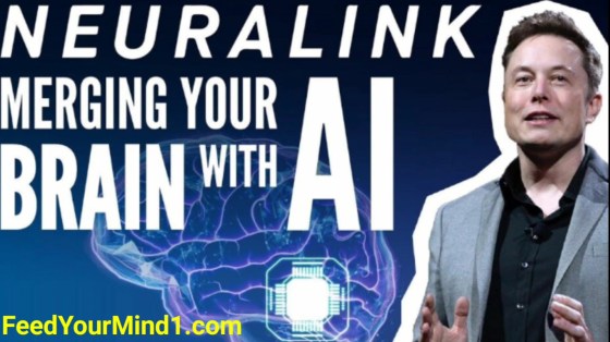 Screenshot_20221208_122517_Video Player