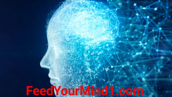 Screenshot_20230117_112044_Video Player