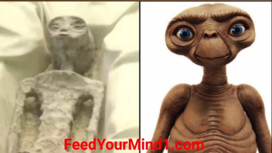 Screenshot_20230915_114703_Gallery