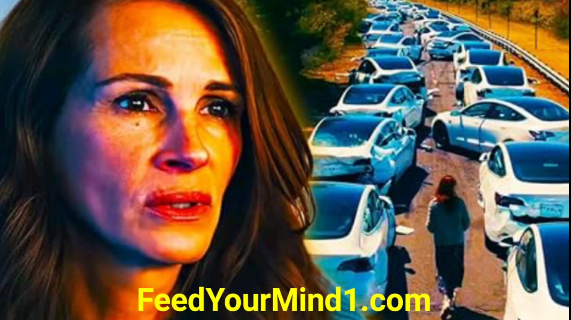 Screenshot_20231213_135755_Video Player